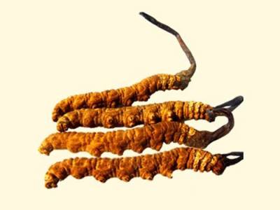 厦门思明回收冬虫夏草商家联系方式