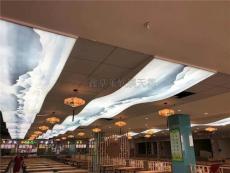 吉林泳池星空顶鑫享莱软膜-材料供应厂家咨询电话