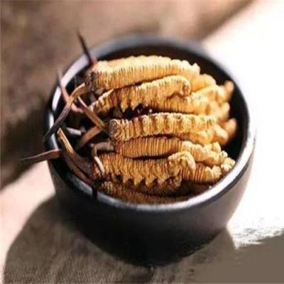政和县高价回收1500条冬虫夏草