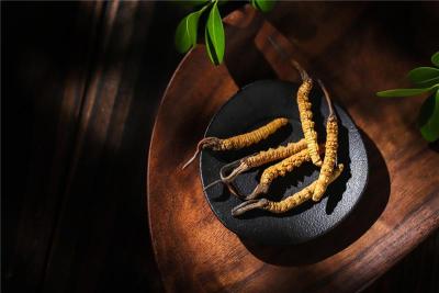 寿宁县现在冬虫夏草回收啥价格