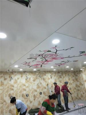 湖北流星雨吊顶鑫享莱软膜-软膜尺寸定制型号参数及原理