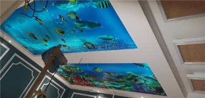 河北流星雨吊顶鑫享莱软膜-软膜装修推荐哪家便宜