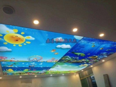河北泳池星空顶鑫享莱软膜-软膜多少钱一平厂商电话