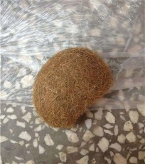 武威鑒定牛寶中心