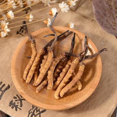 闽侯县冬虫夏草回收市场价格行情