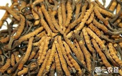 泉州丰泽高价回收1500条冬虫夏草