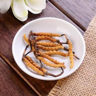 连城县礼盒冬虫夏草回收价格