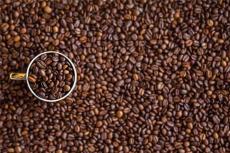 咖啡豆报关代理公司 咖啡豆进口代理公司