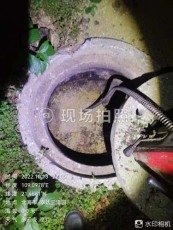 闸口化粪池清理公司电话