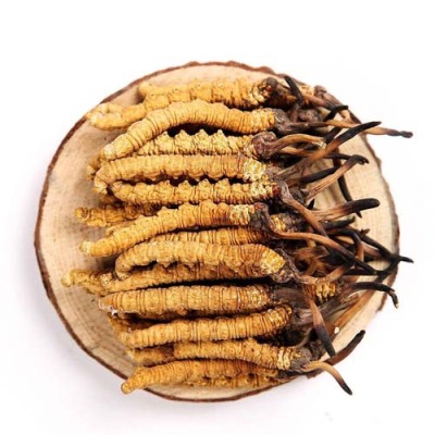 淮阴冬虫夏草回收高价上门