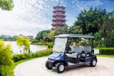 晋城公园高尔夫观光车多少钱