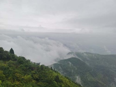 大连安全的古票配姿平台