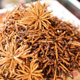 屏南过期冬虫夏草回收价格