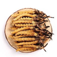 黑龙江冬虫夏草回收价格表