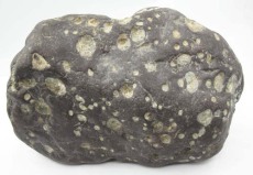 莱芜收购鉴定石陨石联系方式