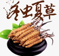 杭州冬虫夏草回收店24小时回收