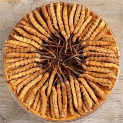 厦门冬虫夏草回收店24小时回收