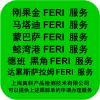 贝拉转运到刚果FERI电子跟踪单号是多少位数