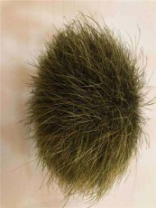 山东私人收购鸡宝