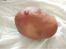 韶关牛宝收购鉴定