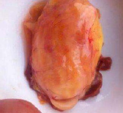 绵阳个人收购牛宝