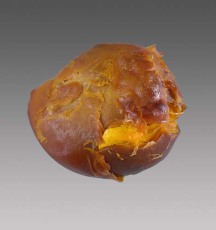 青岛上门收购鸡宝中心