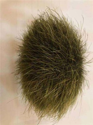 漳州收购鉴定牛宝