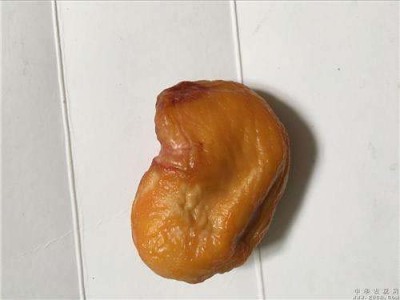 深圳私人收购羊宝中心