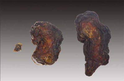 宜春收购鉴定猪宝联系方式