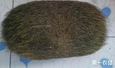 自贡现金收购牛宝