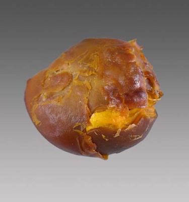 郑州羊宝私人收购