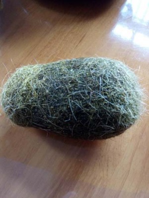 邵阳长期收购牛宝联系方式