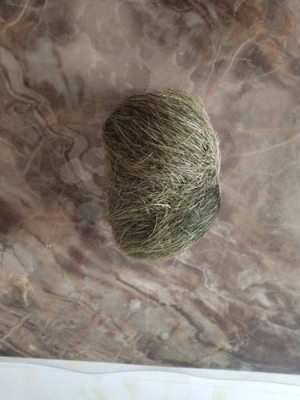 山东现金收购猪宝