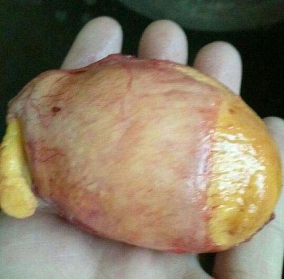 三门峡私人收购鸡宝