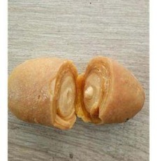 新密羊宝长期收购