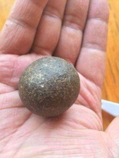 嘉峪关收购鉴定羊宝