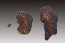 焦作个人收购羊宝电话