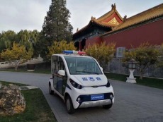 金华6座电动巡逻车多少钱一辆