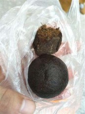 长沙个人收购羊宝联系方式