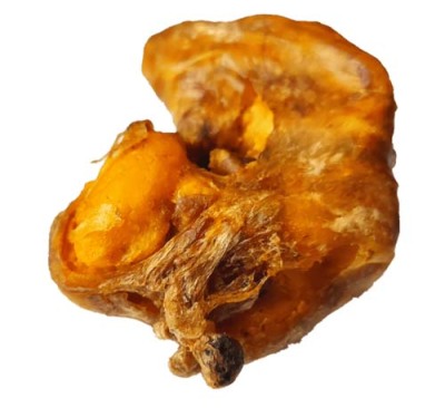 株洲牛宝高价收购