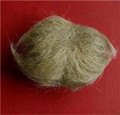 许昌收购鉴定牛宝商