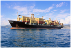 国际海运海运整柜海运拼箱海运双清