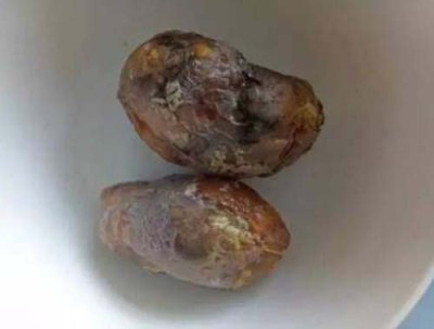 开封收购鉴定猪宝电话