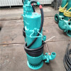 防爆电泵供应排污排水泵BQS系列