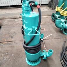 防爆电泵供应排污排水泵BQS系列