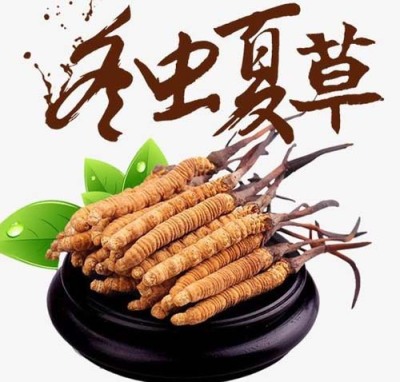 蚌埠冬虫夏草回收免费咨询