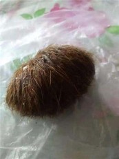 郴州牛寶拍賣公司