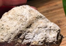 杭州鑒定拍賣龍涏香機構