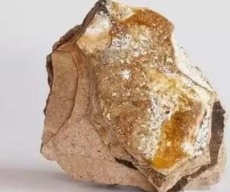 張家界豬寶拍賣收購商