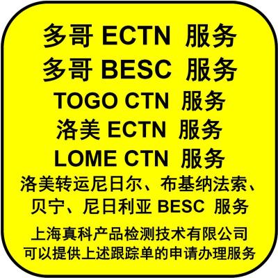 洛美转口到布基纳法索的CTN跟踪单